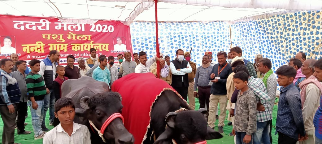 Crowds flocking to see the buffalo worth 22 lakhs at Dadri fair