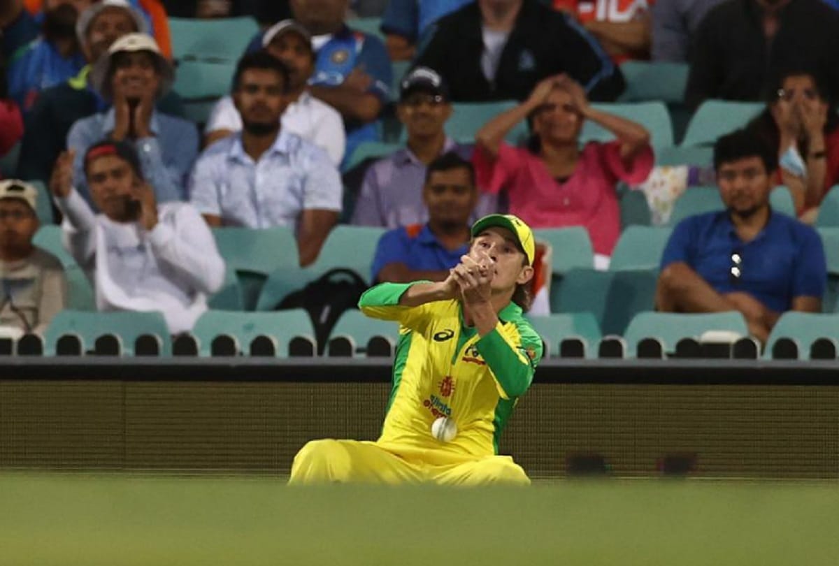 Adam Zampa repaying Virat Kohli for an IPL contract tweeted former australian Brad Hogg after Australia spinner drops India captain