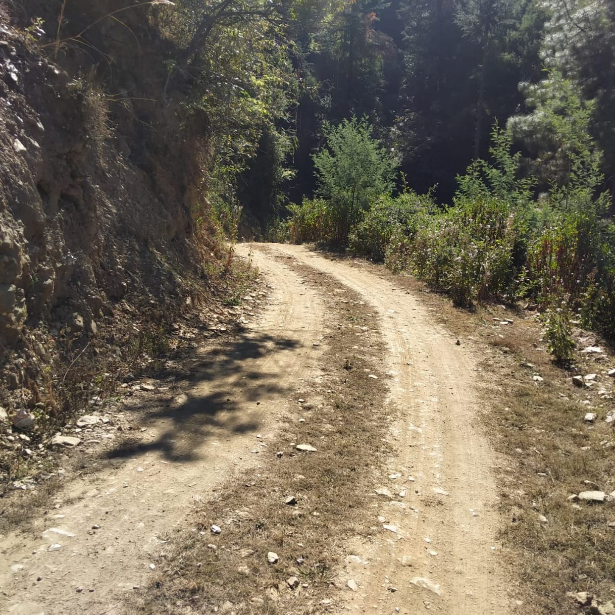 Road of Forti village will be widened