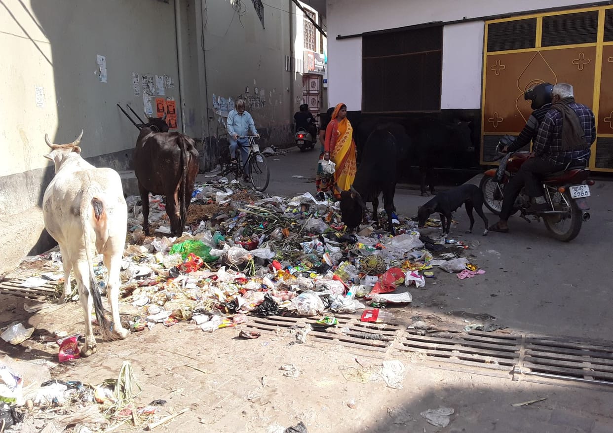 Litter piles in BJP MLA's colony