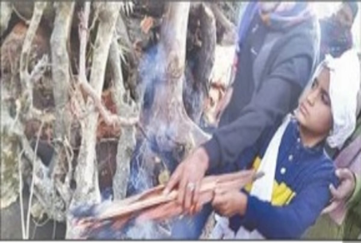 Martyr Ratan Singh called his mother and says I am leave tomorrow