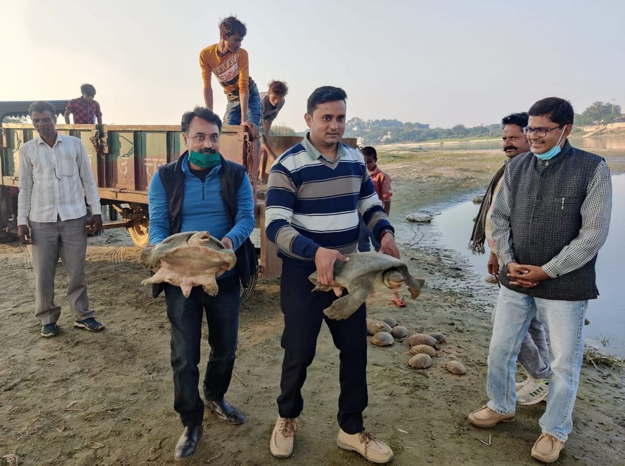 Five arrested, including 2581 turtles worth one crore