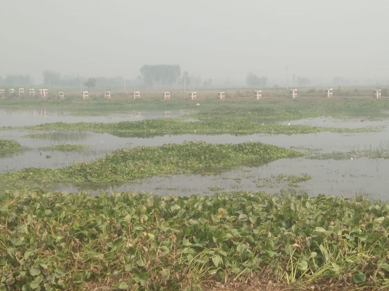 810 reservoirs in the district will be pollution free, survey started