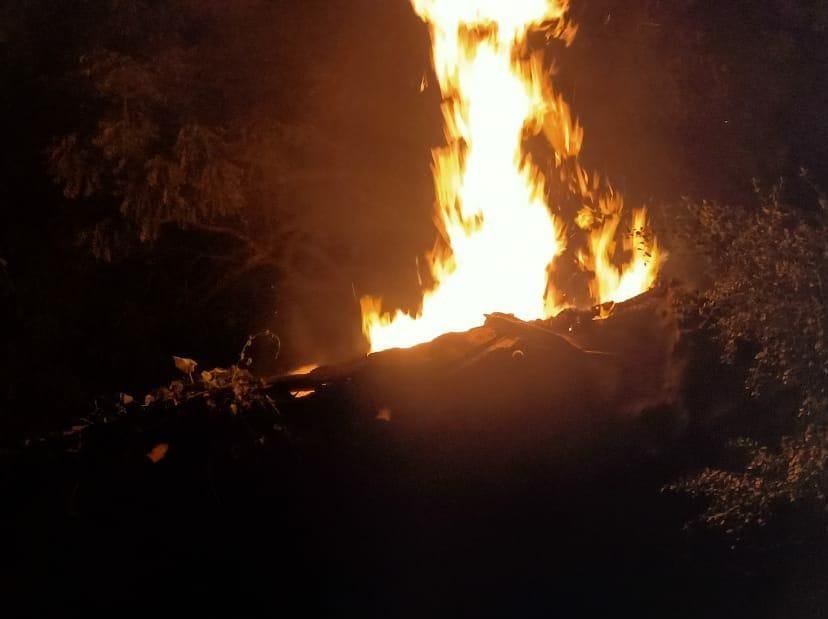 11 cattle burnt alive in fire