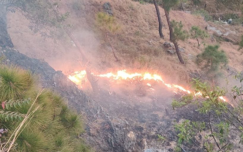 Fire in the forests of Raiagar region