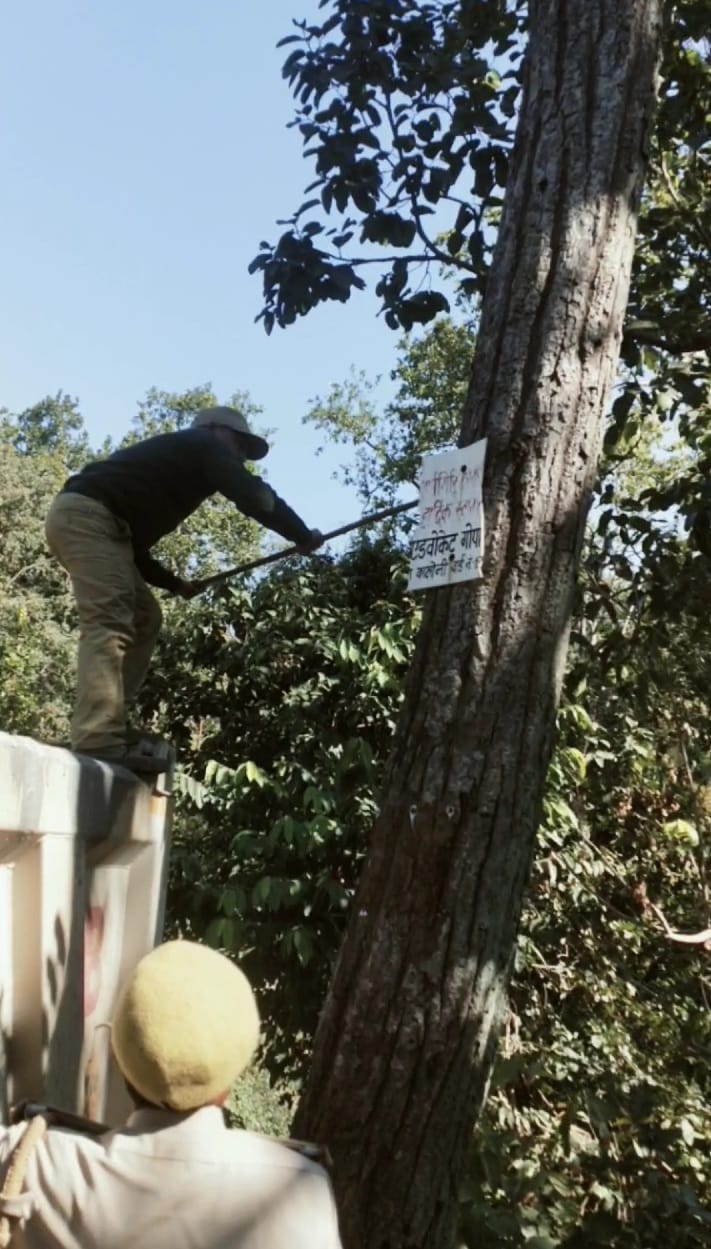 Now the forest department will take action on planting boards, banners and posters on trees