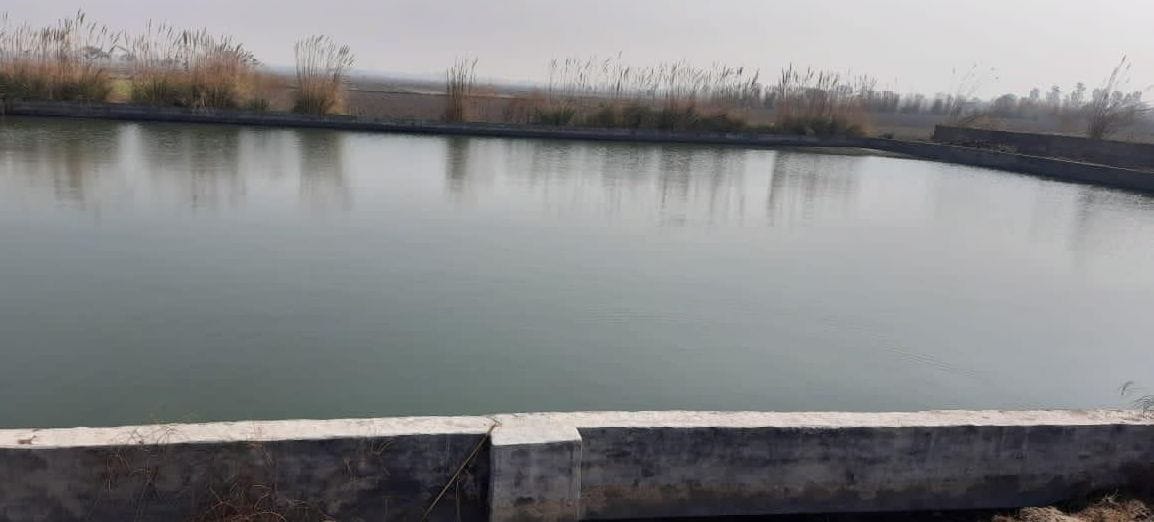 Due to less theft and promptness of officials, the drainage water reached 55 water bodies in the district for the first time