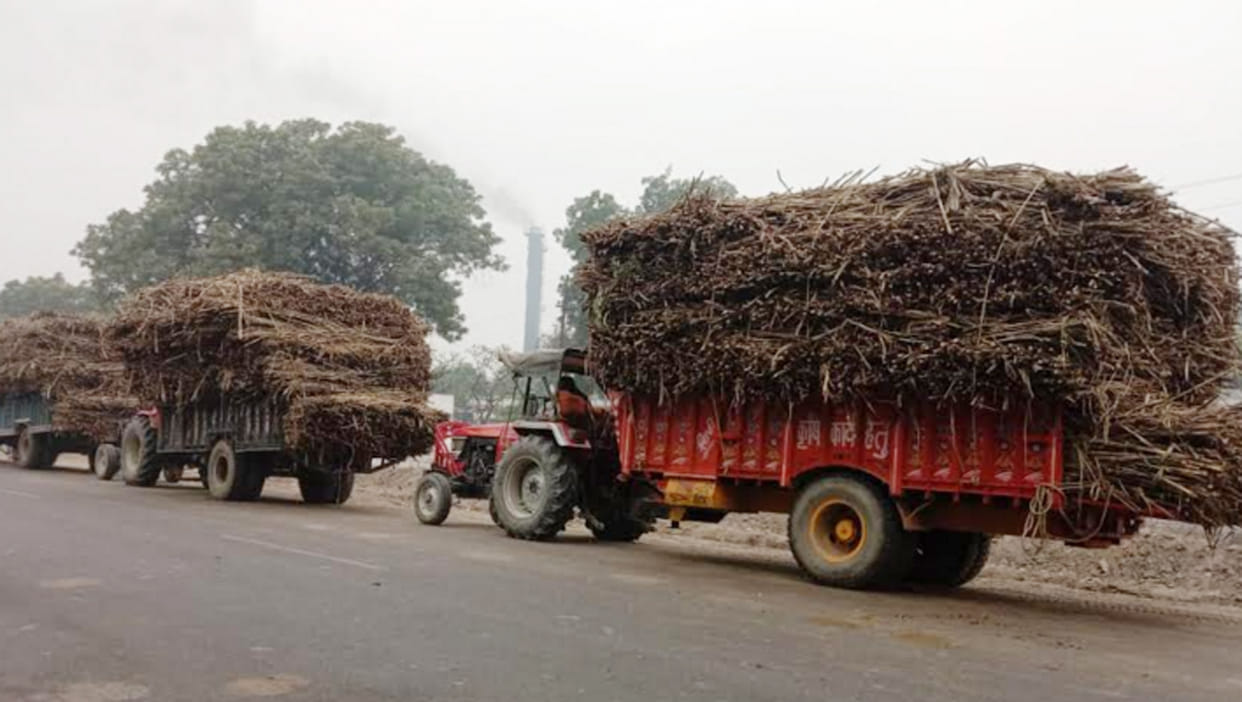 ganna peraii,sugar cane,ganna mil