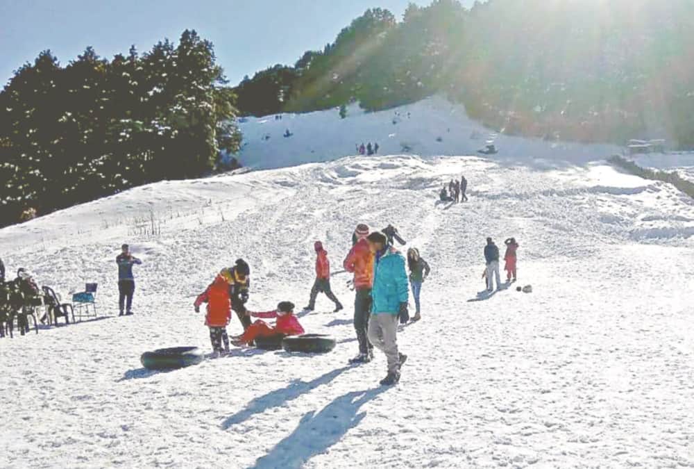 Uttarakhand Weather Latest News: Awesome Visuals of Auli for snowfall, Advance Booking for New Year Celebration