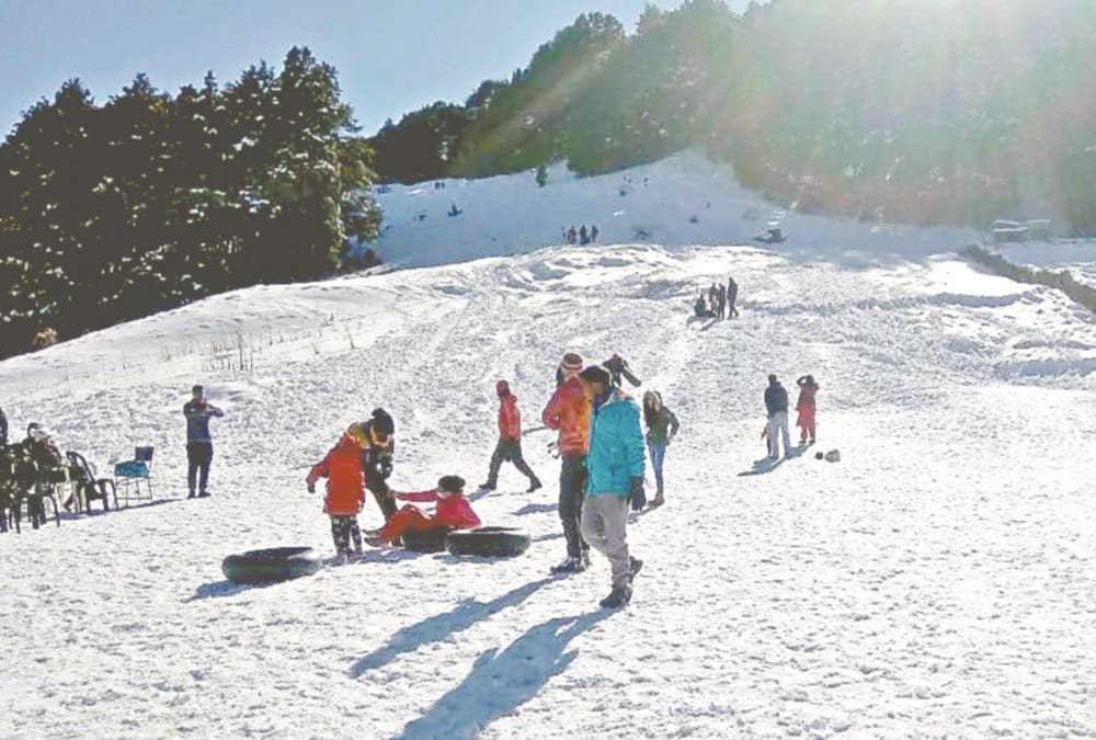 Uttarakhand Weather Latest News: Awesome Visuals of Auli for snowfall, Advance Booking for New Year Celebration