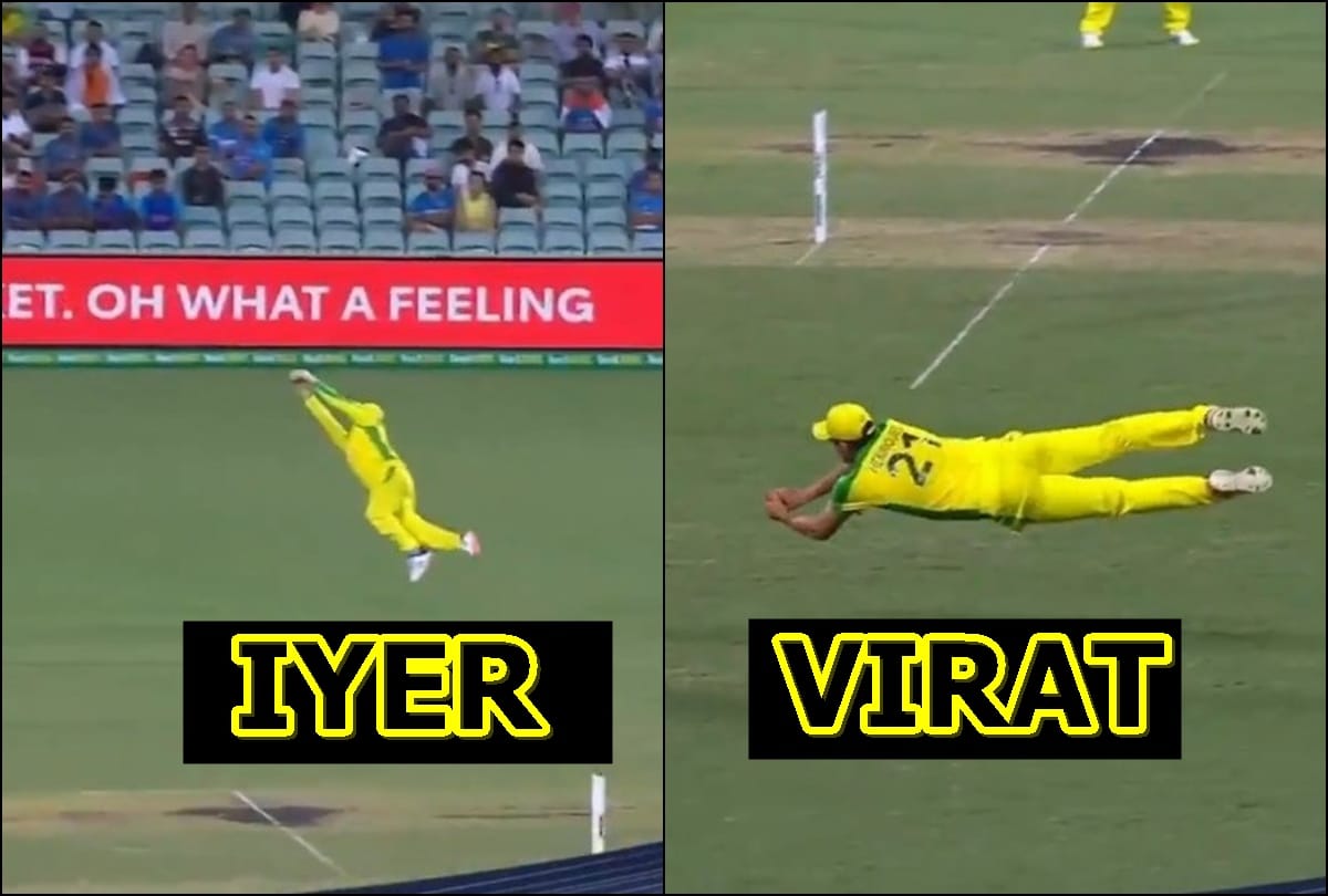 AUS vs IND: Viral Video Steve Smith and Moises Henriques stunning catch helped australia winning 2nd odi against india