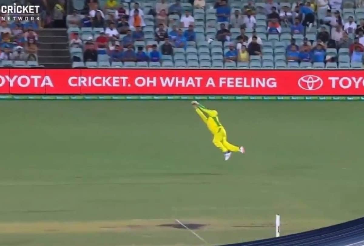 AUS vs IND: Viral Video Steve Smith and Moises Henriques stunning catch helped australia winning 2nd odi against india