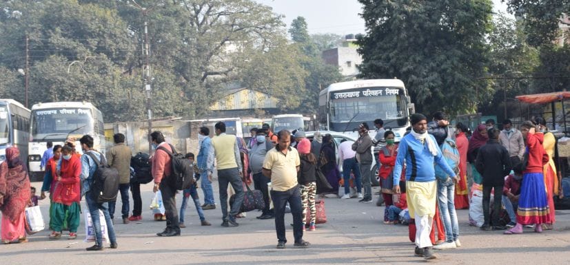 Buses