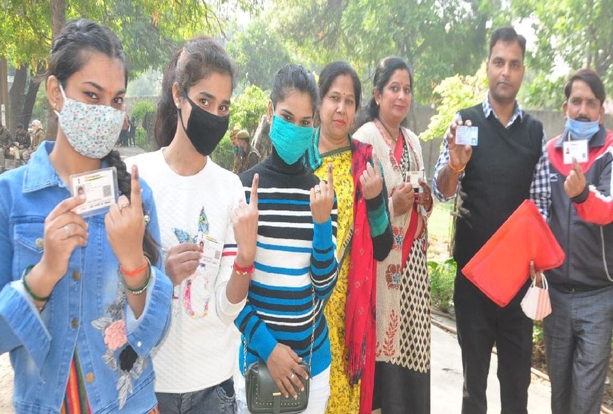 Mlc Elction 2020: Result Will Open 3rd December