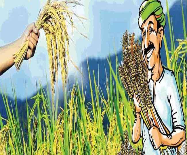 agricultural