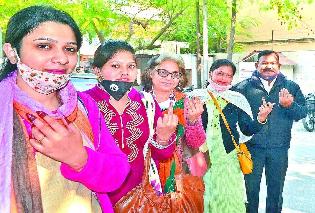 Mlc Elction 2020: Result Will Open 3rd December