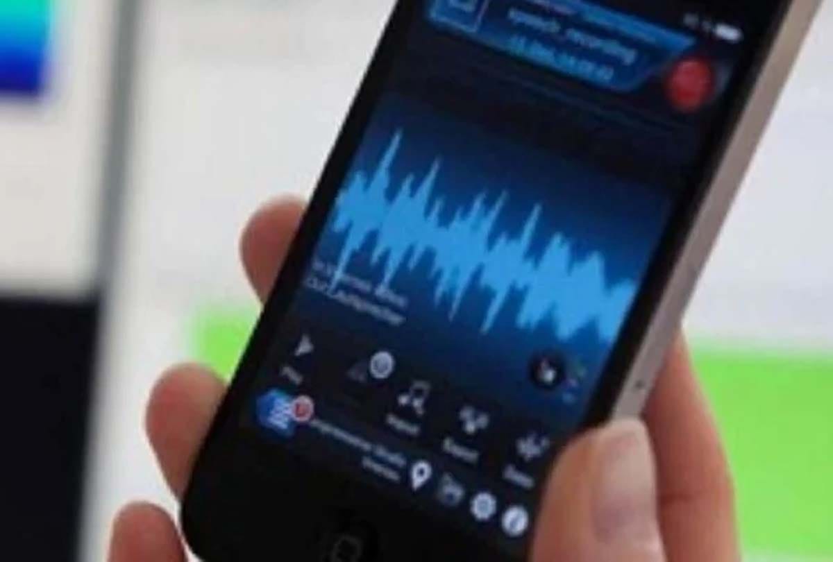 Audio of electricity department officials goes viral