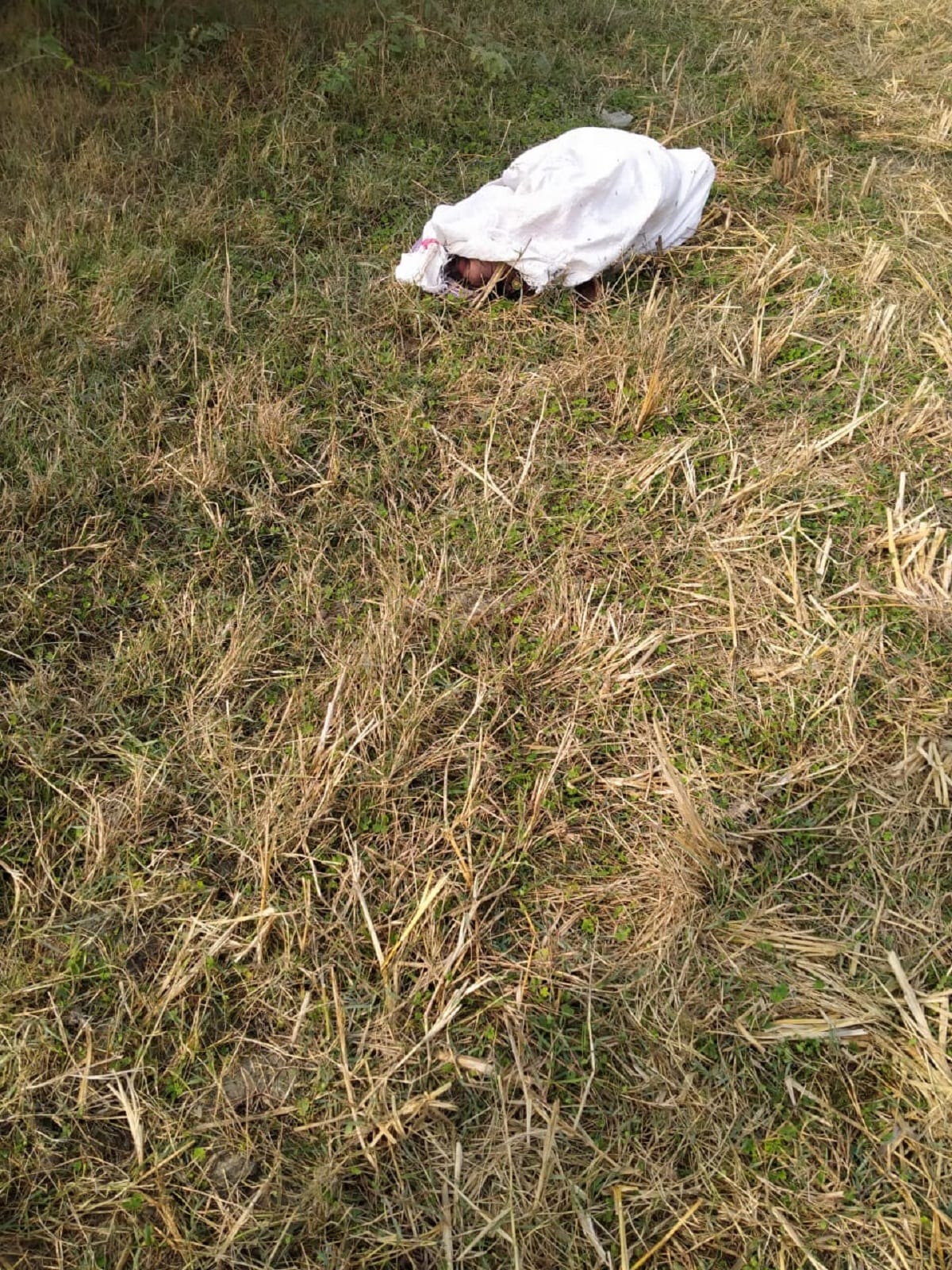 woman killed husband with lover in gorakhpur