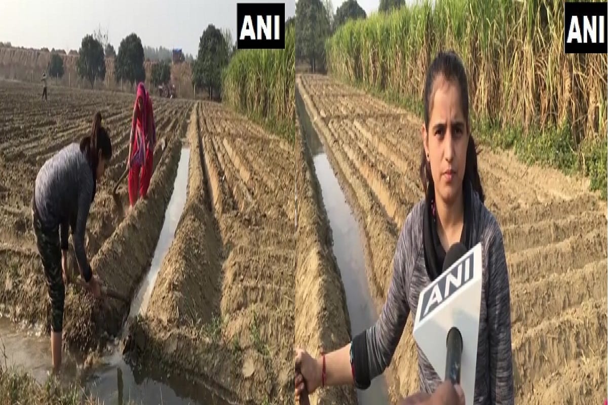 Farmers Protest: Change seen in Fields, daughter looking after of crops while father in farmers movement