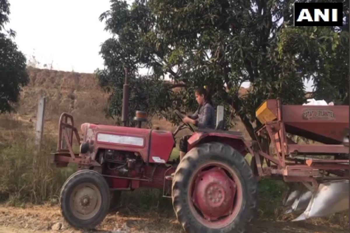 Farmers Protest: Change seen in Fields, daughter looking after of crops while father in farmers movement