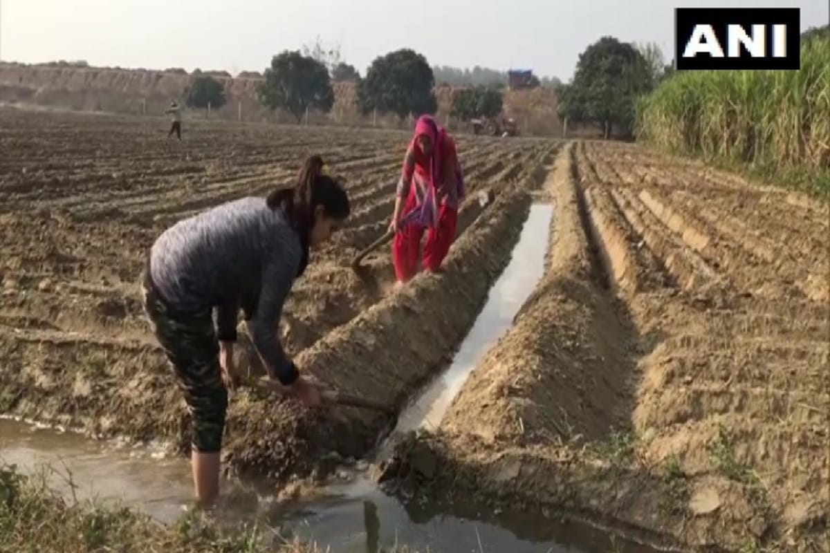Farmers Protest: Change seen in Fields, daughter looking after of crops while father in farmers movement
