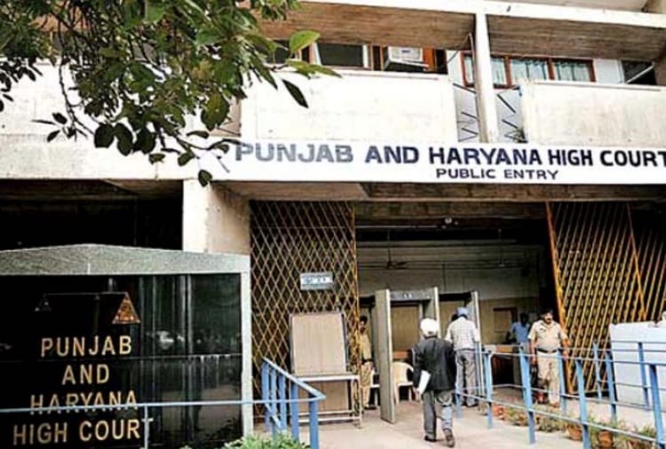 Highcourt bans admission process in Law course of Panjab University