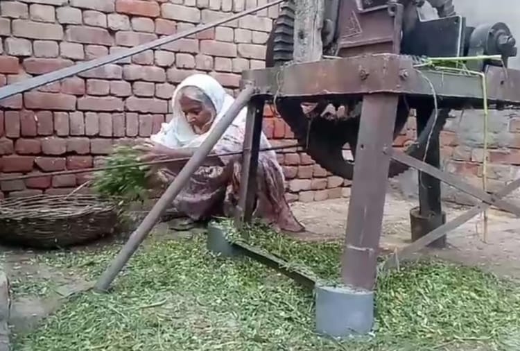 Kisan Andolan: Mahinder Kaur reply to Kangana Ranaut Tweet