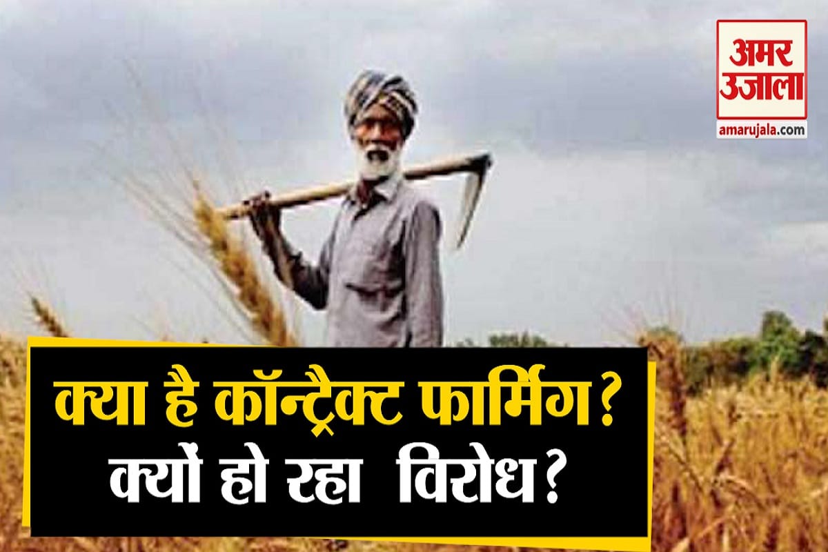 वीडियो