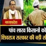 दनादन
