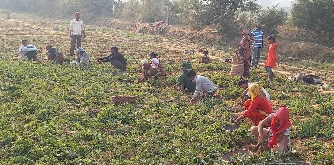 nae aaloo kee aavak badhee, puraane ke daam abhee bhee chadhe