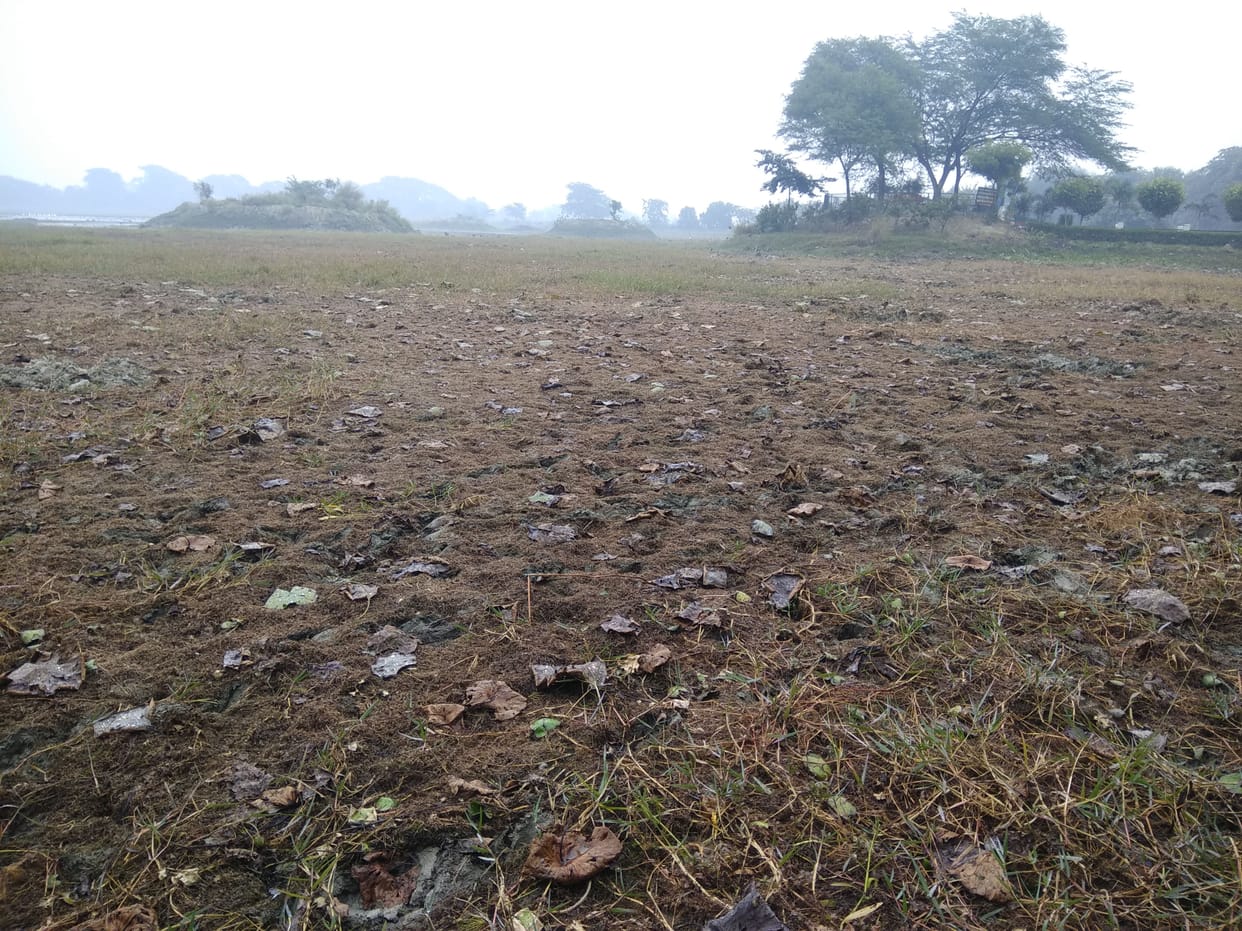Aligarh: Water dried up in Shekhajil, migratory birds did not like guests ..