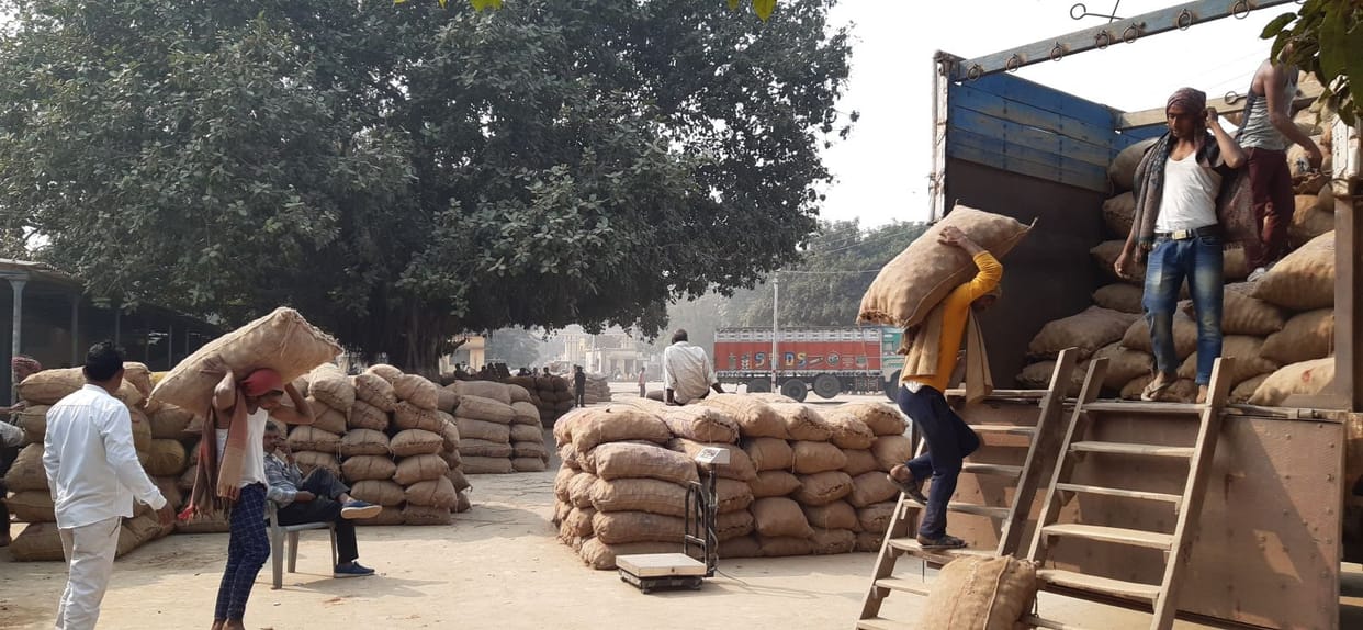 Potato price rise due to double arrival in the market