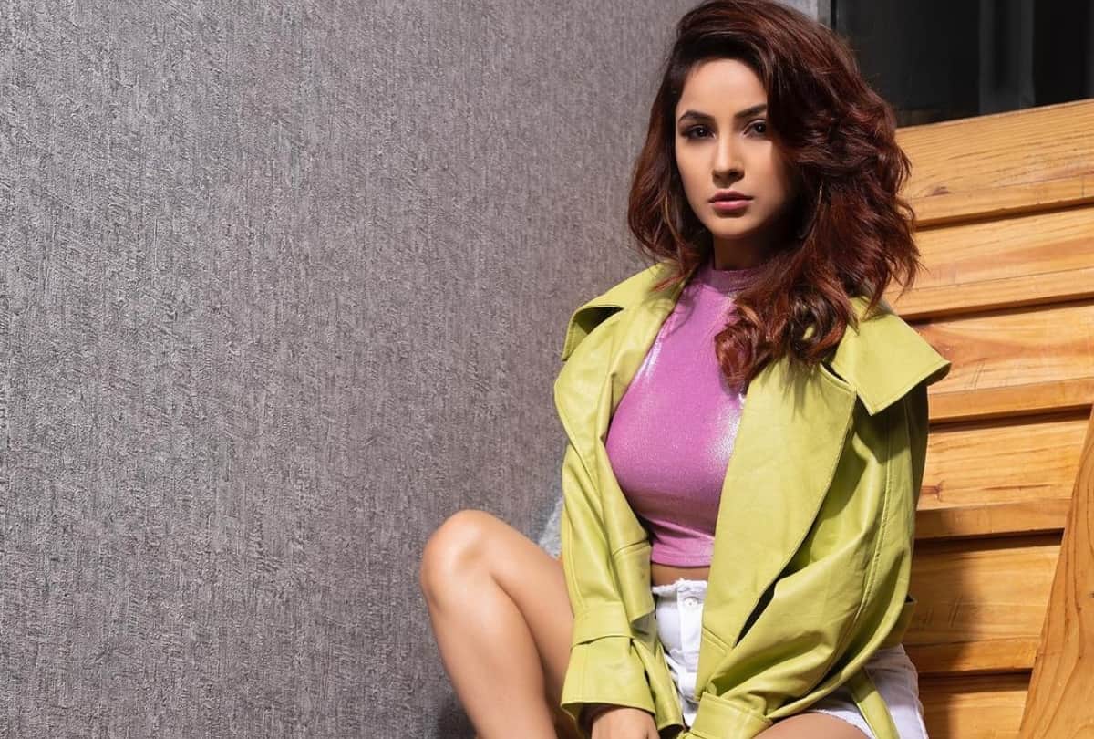 shehnaaz gill looks bold and chic in blue eyeshadow with matching outfit