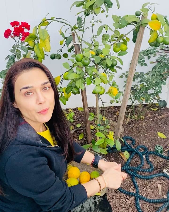 Preity Zinta has farming in her los angeles home video goes viral