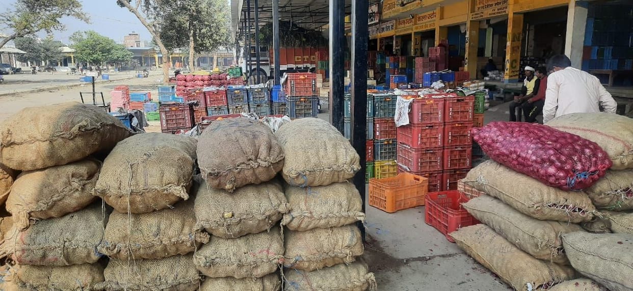 Price of potato and onion reduced