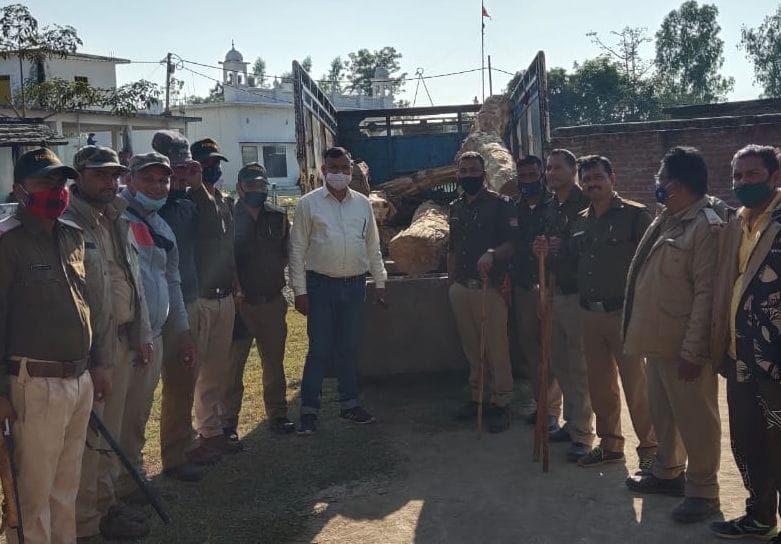 Forest Departments Raids