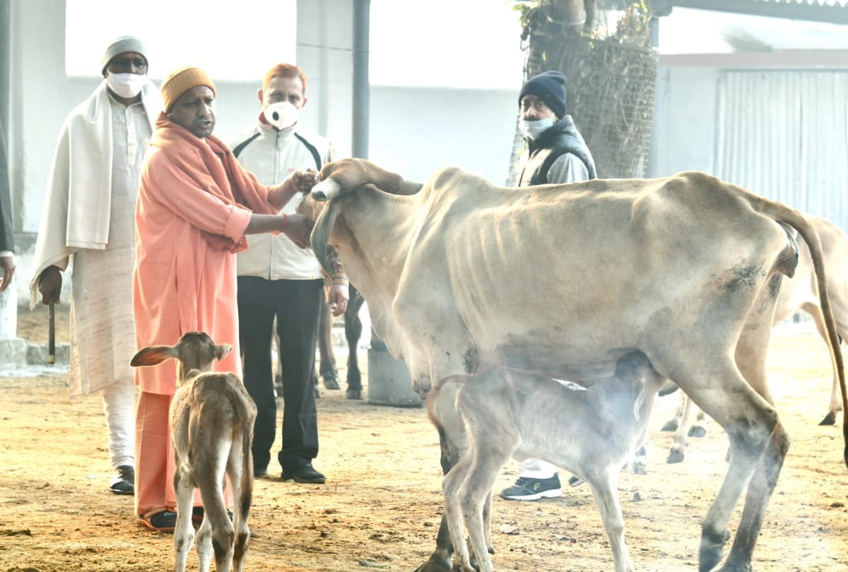 Maharana Pratap Education Council Founder Week Celebration starts in Gorakhpur