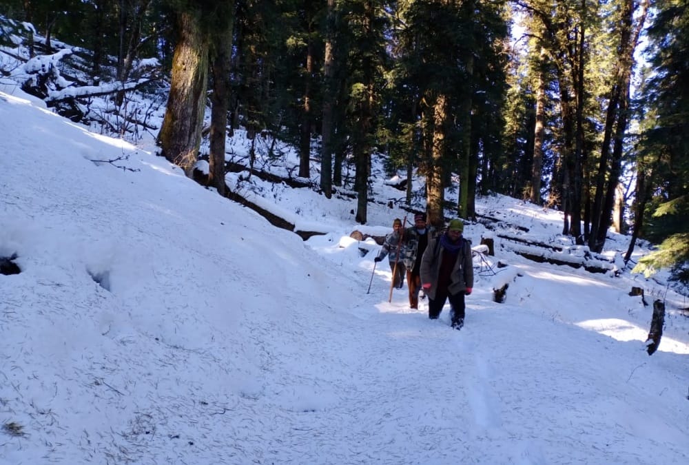 Exclusive: snow leopards Presence found in Rupin and Sankari ranges of higher Himalayan region