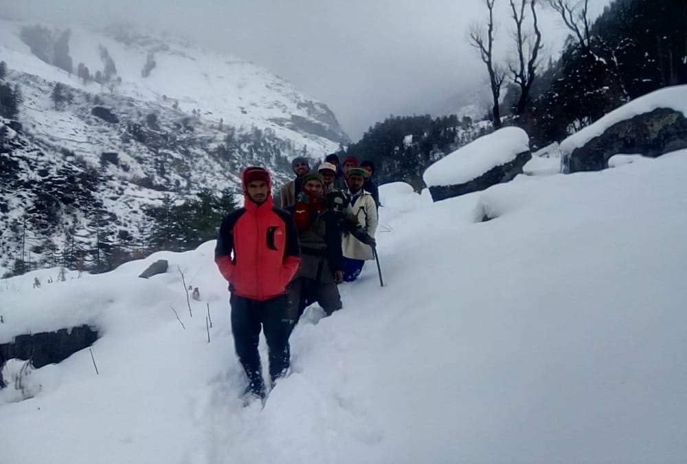 Exclusive: snow leopards Presence found in Rupin and Sankari ranges of higher Himalayan region