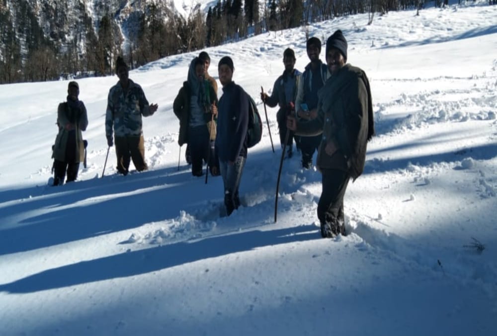 Exclusive: snow leopards Presence found in Rupin and Sankari ranges of higher Himalayan region