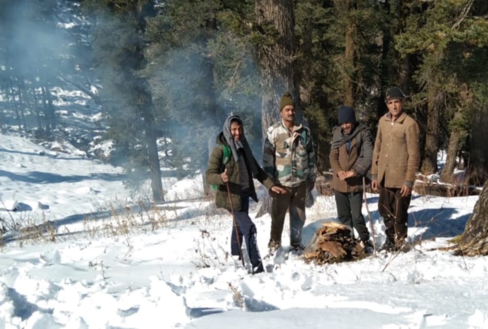 Exclusive: snow leopards Presence found in Rupin and Sankari ranges of higher Himalayan region