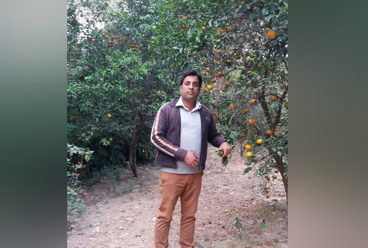 orange crop in Nurpur kangra and drought in himachal pradesh