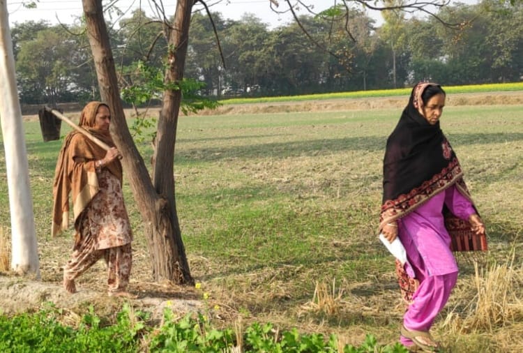 Kisan Andolan Today Latest News: Women are doing agricultural work in Punjab after farmers go to delhi