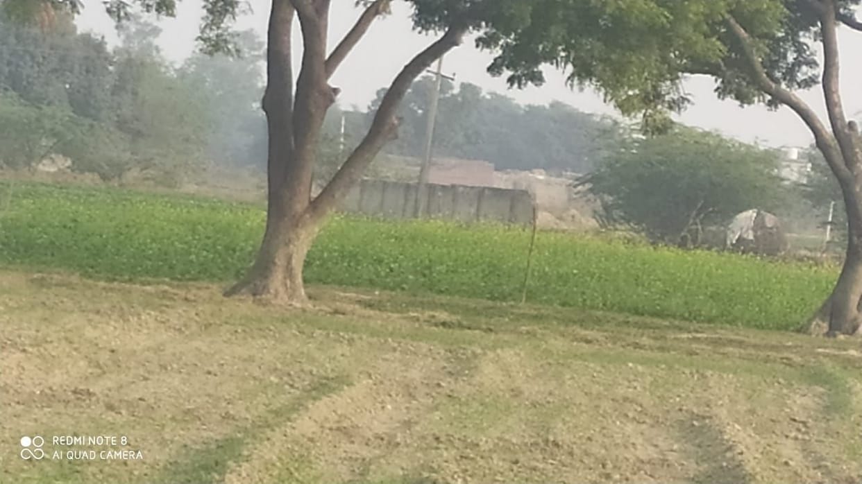 No plastic factory, farming is happening