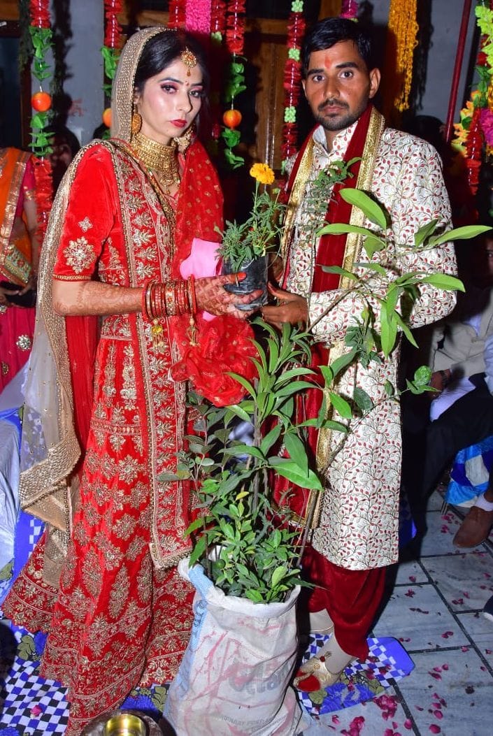 11 plants for dowry