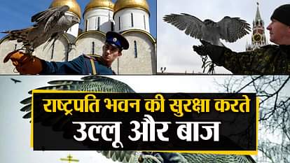 birds for president house security