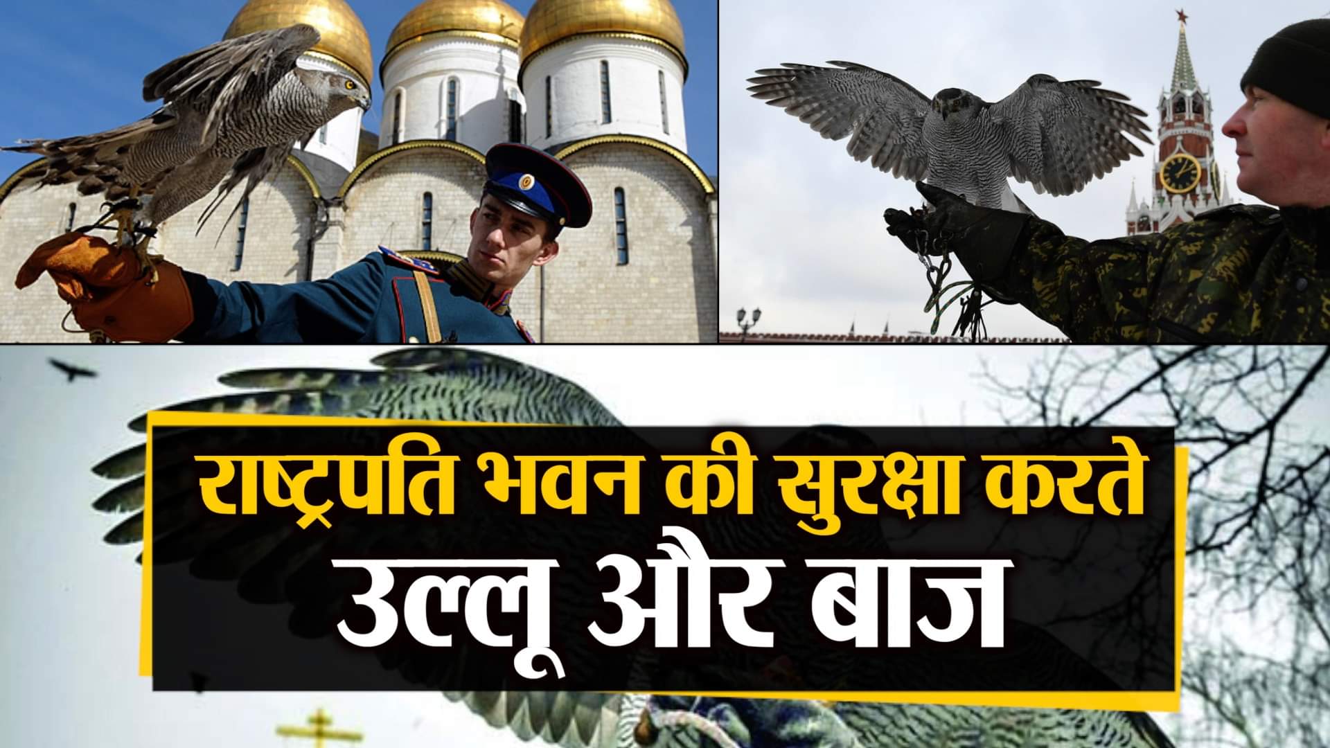 डिजाइन इमेज