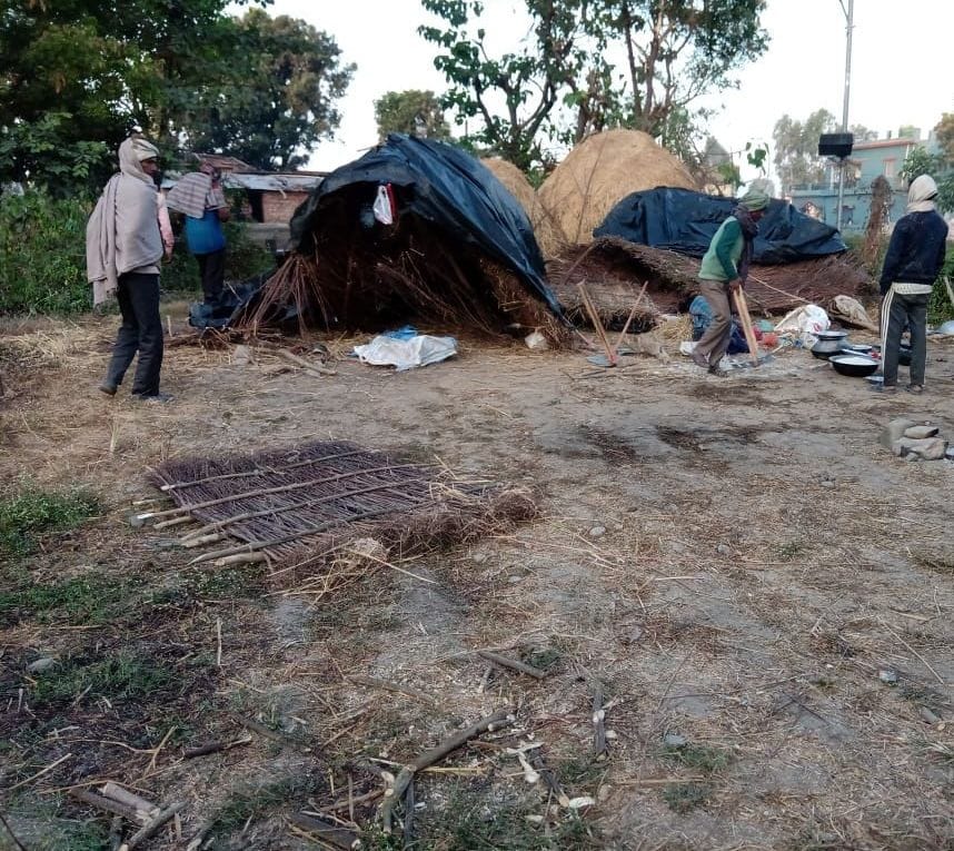 Elephants attacked laborers, escaped and saved lives