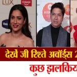 वीडियो