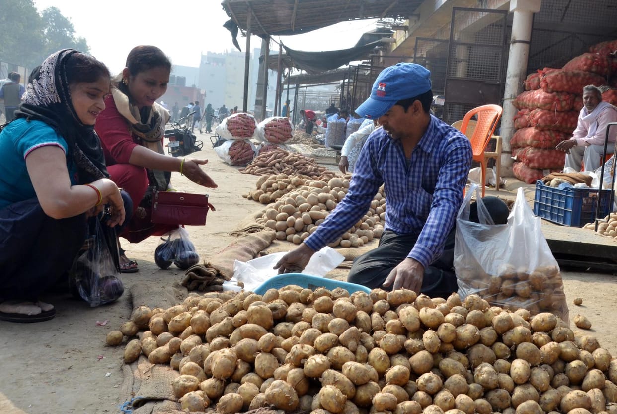 Aligarh: Potato prices fall due to increase in arrivals, sold for 20 rupees